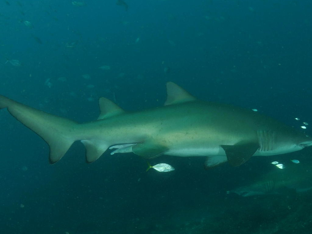 110cfc68-4781-4ab4-a40c-a741e0fb6ed0