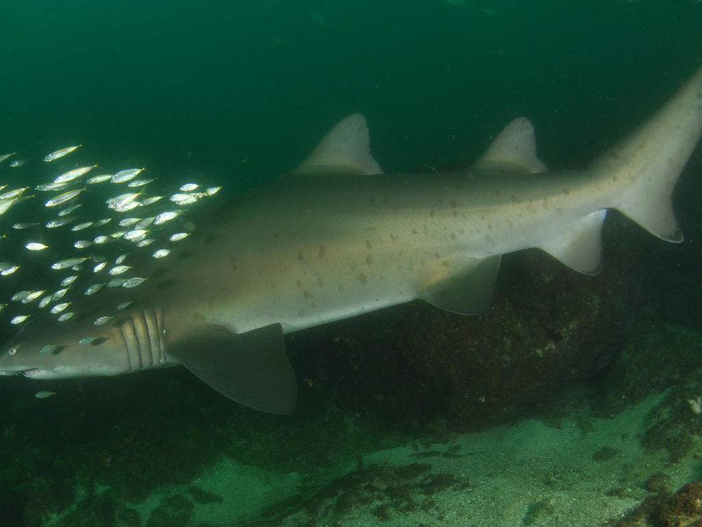 d5e8946e-5916-4606-8478-ce33e6e8975e