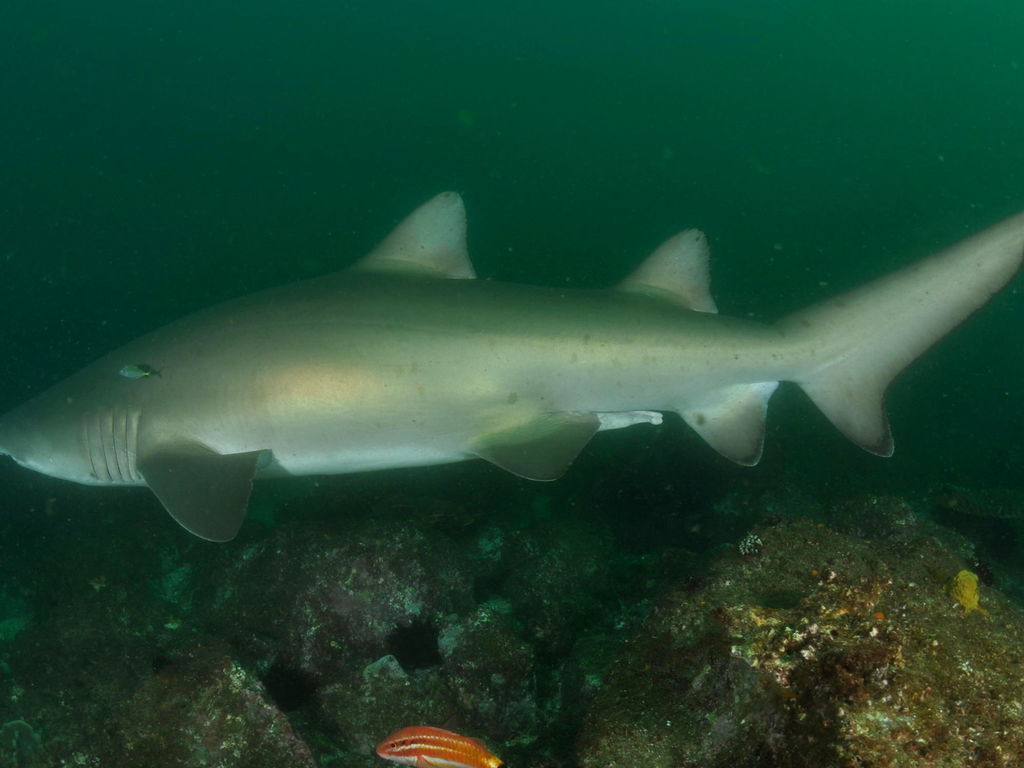 c10cd5c6-9207-4b97-8ab1-460146d39f26