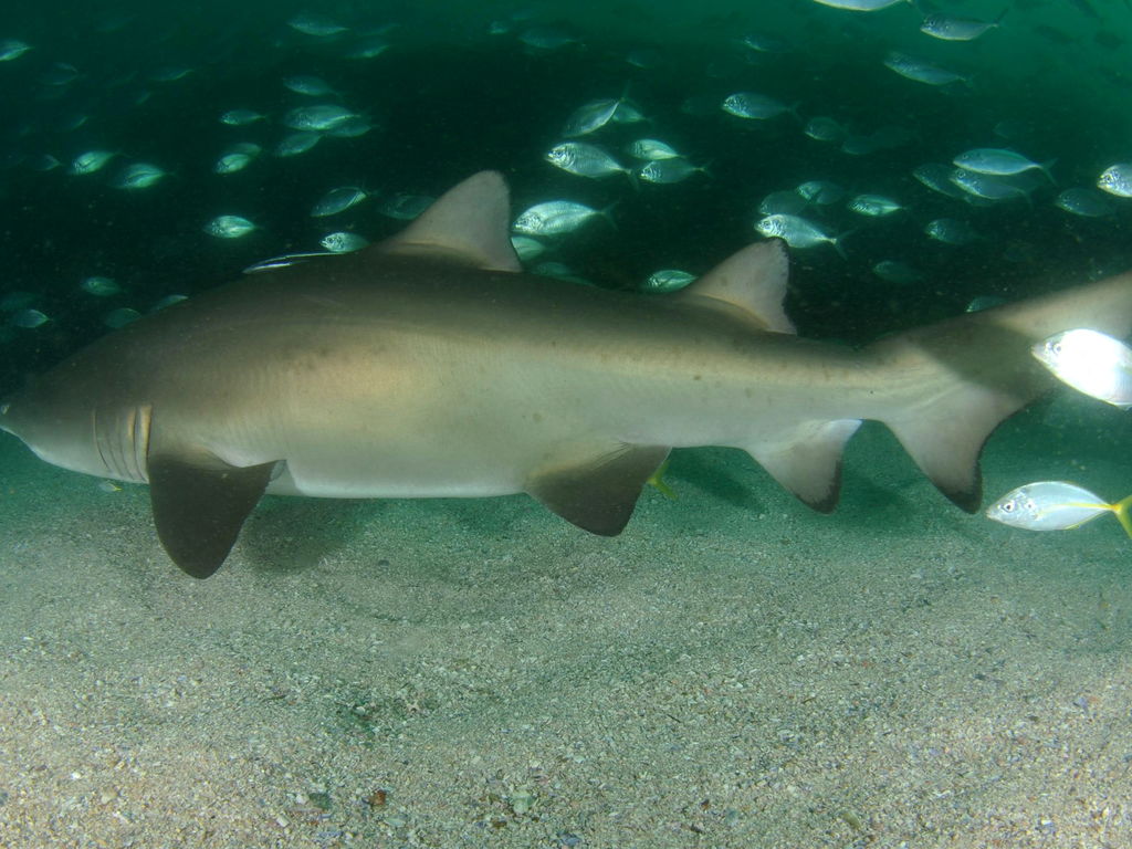 5bd39dd4-83a5-4536-aaeb-250aa40120ed