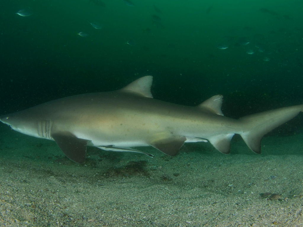 72d13440-1970-453e-98d4-0da28663cfce