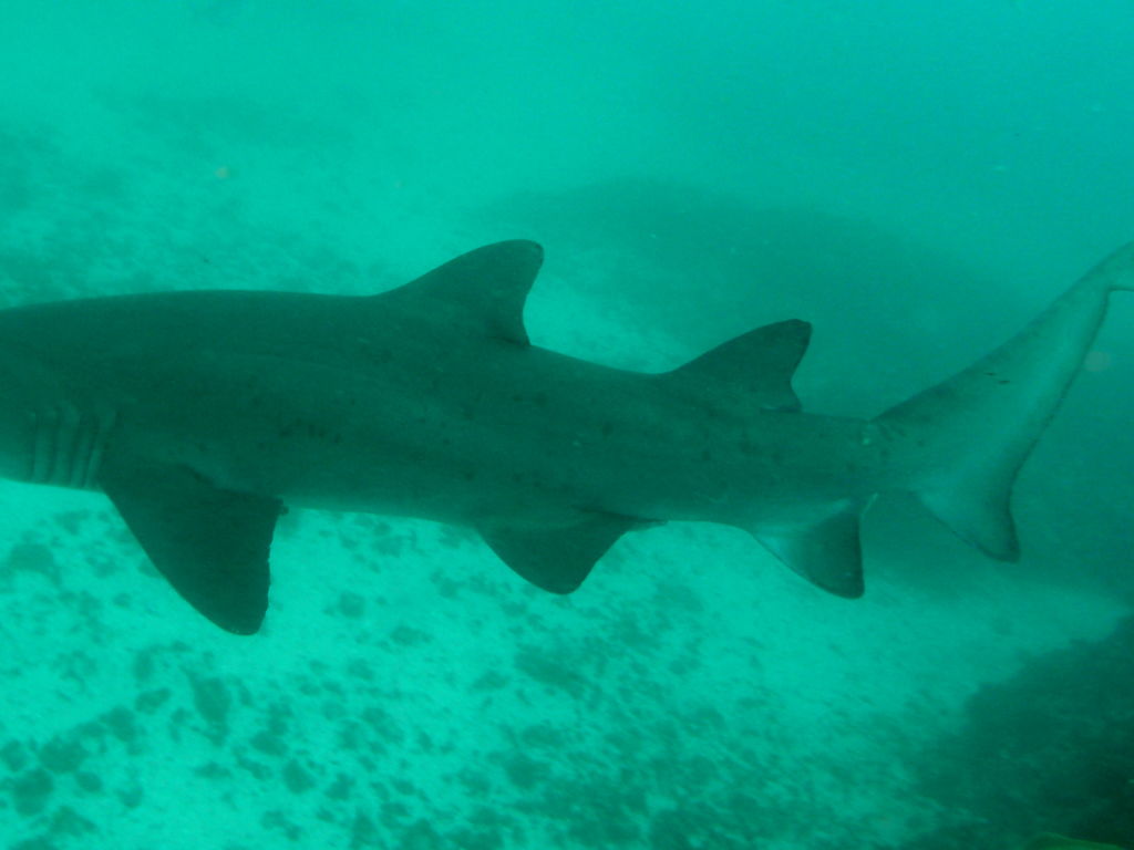 b95abcb5-97a3-4da4-9bcd-3a26cf884333