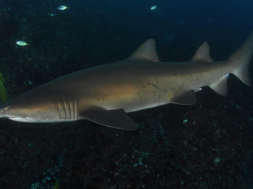 6c3201a7-8376-4018-ac78-7eeccbe094ad