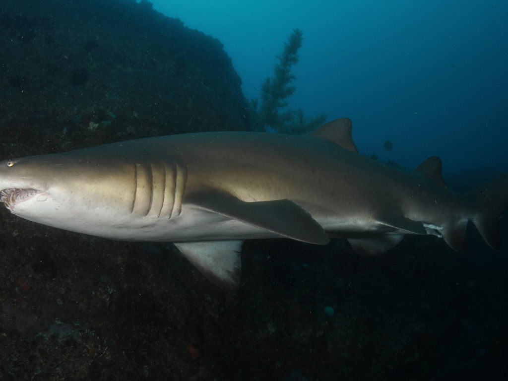 bd4e4e87-07d3-472b-b776-c11cc885d5c5