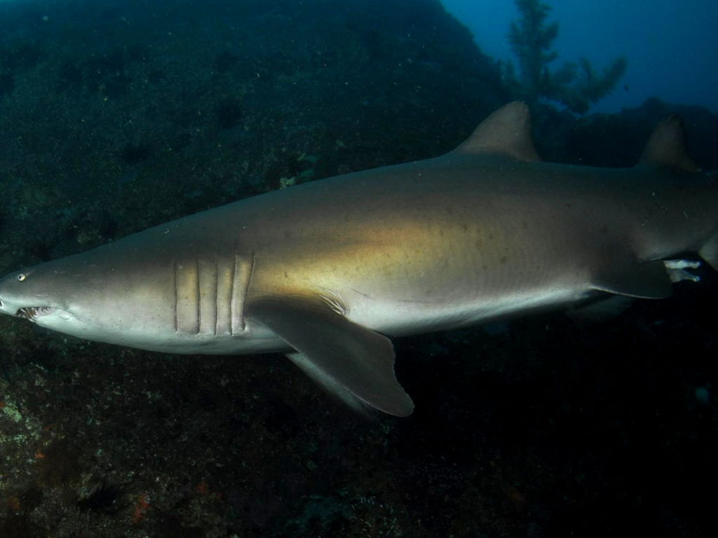 bd4e4e87-07d3-472b-b776-c11cc885d5c5