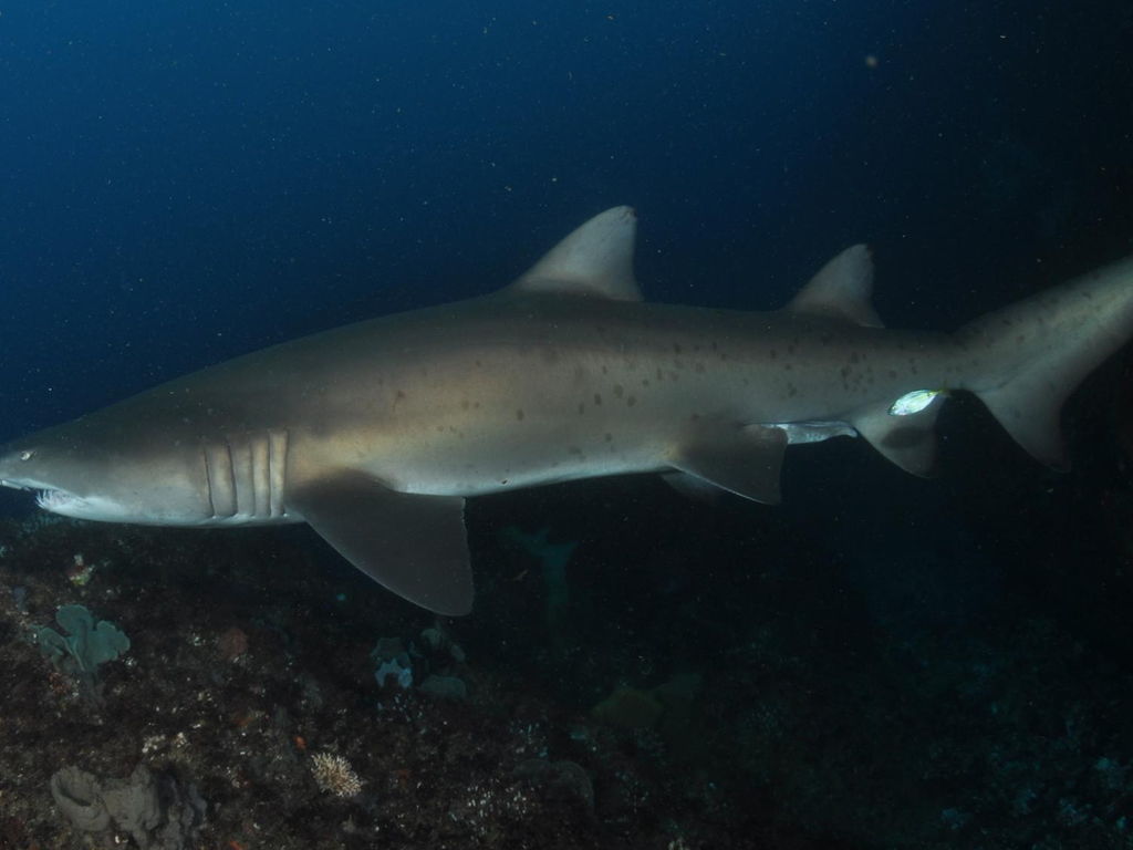 6173cbc3-497f-4a6d-981d-3c1f883ace94