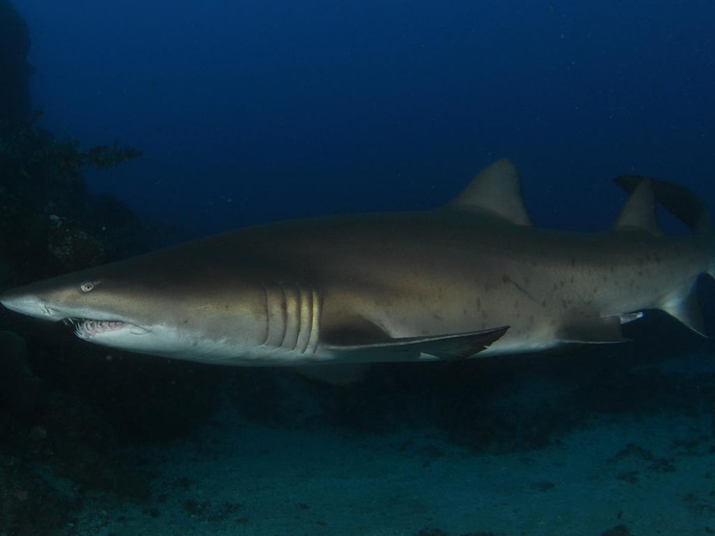 6c3201a7-8376-4018-ac78-7eeccbe094ad