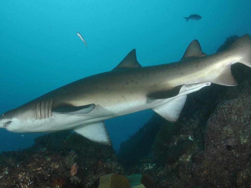 51071b3a-96aa-46d0-9acd-de844172a7c4