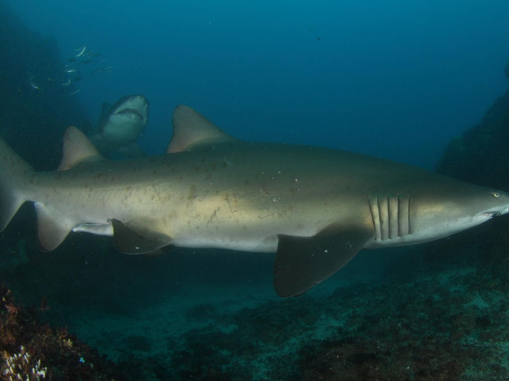 14579da4-152a-4f49-9842-5100aac03d26