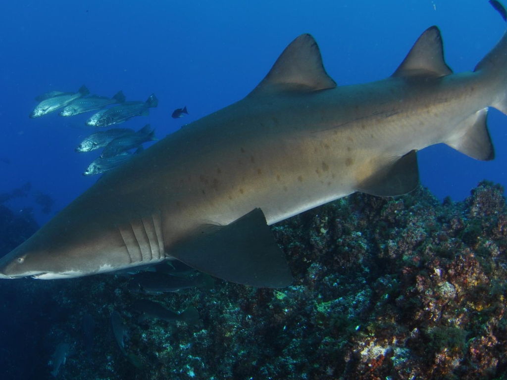 97b1ccbf-8207-4a40-9fa9-63fc25dadfa9