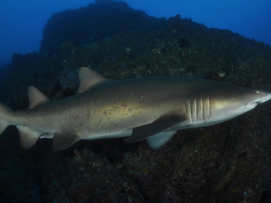 16fa2225-53a3-4038-873d-3cd56a9561e3