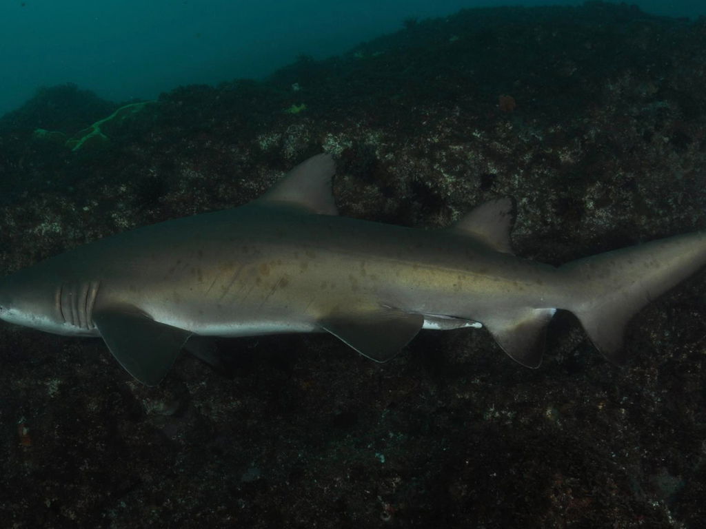 a25ba09a-0970-4148-b735-dc8c8ee31881