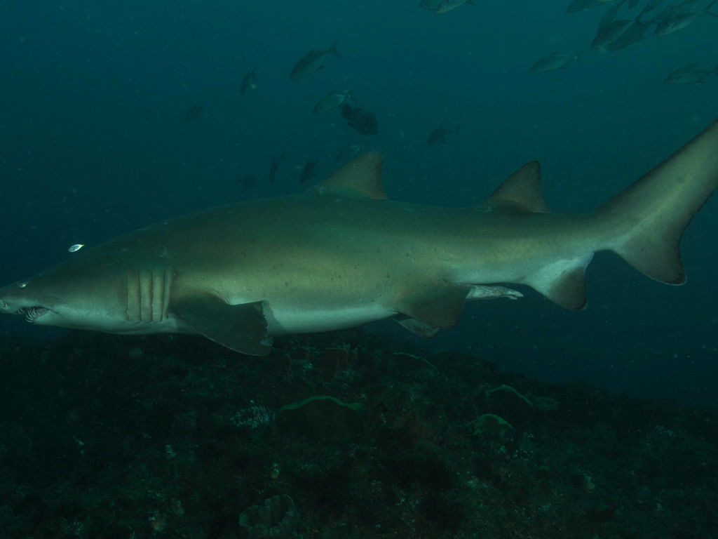 bb22da94-17a0-4bc0-a0a1-1fe8ddf7e491