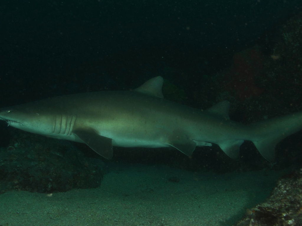 1b9e92c8-cc61-4bc4-a9b4-892ae376aae7