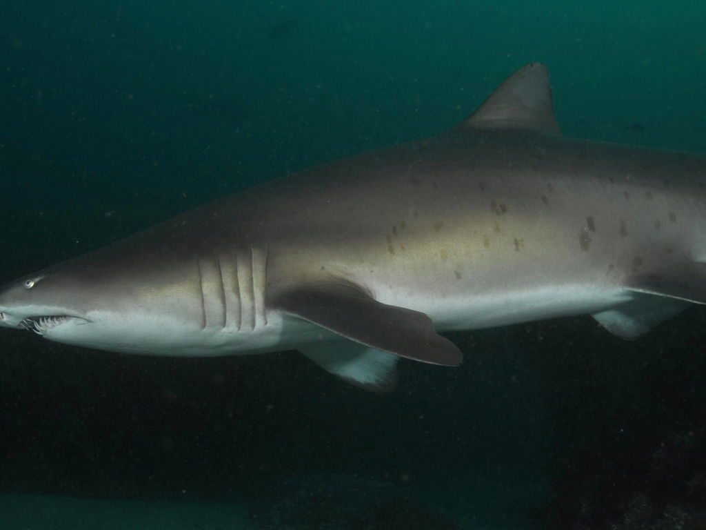 bc662d3f-9956-43c7-a1ad-6da9f0cb04cf