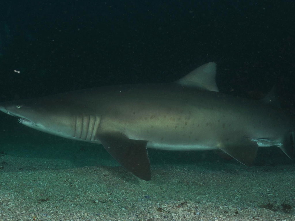 252f4b0d-e0d1-4847-8677-d16f5f13a687