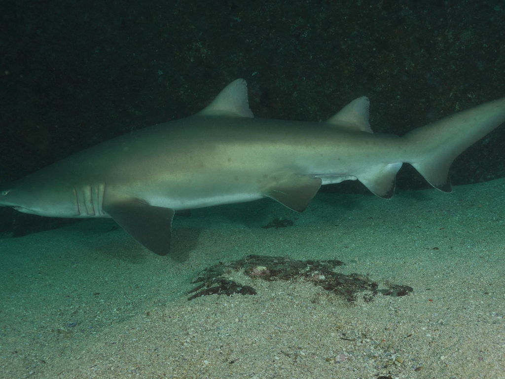 49cc05c6-0f3a-4149-909b-dbd2058e546a