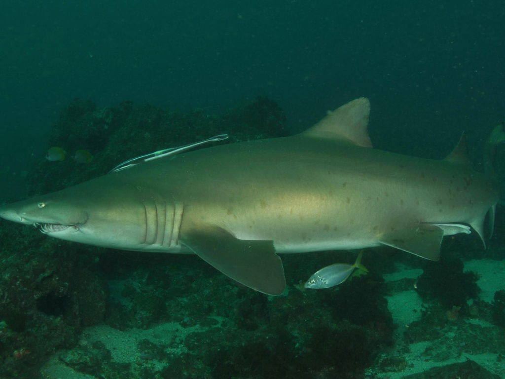 166fe4cf-1be7-48b1-aeb3-ac8b9b0555f2