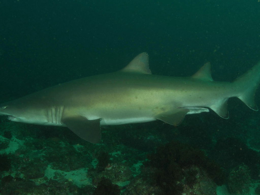 49cc05c6-0f3a-4149-909b-dbd2058e546a