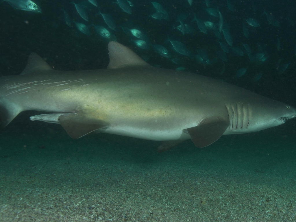 18d7eb0e-635b-4f00-b8db-be316e539625