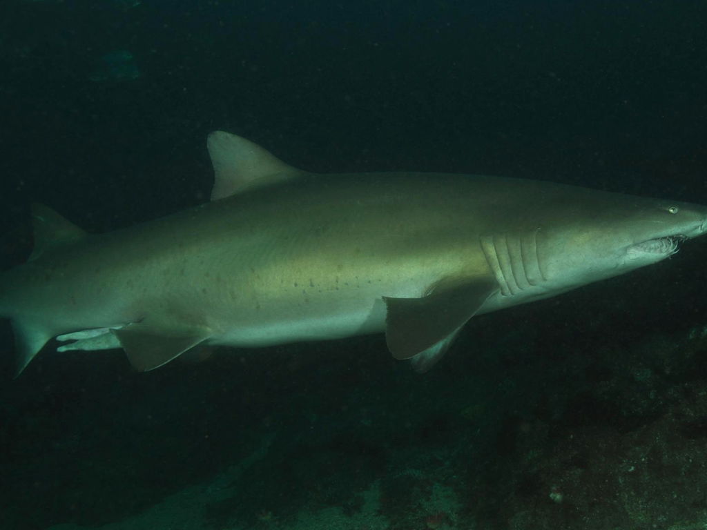 552788c6-4be6-4d18-941c-ce36f4c5f883