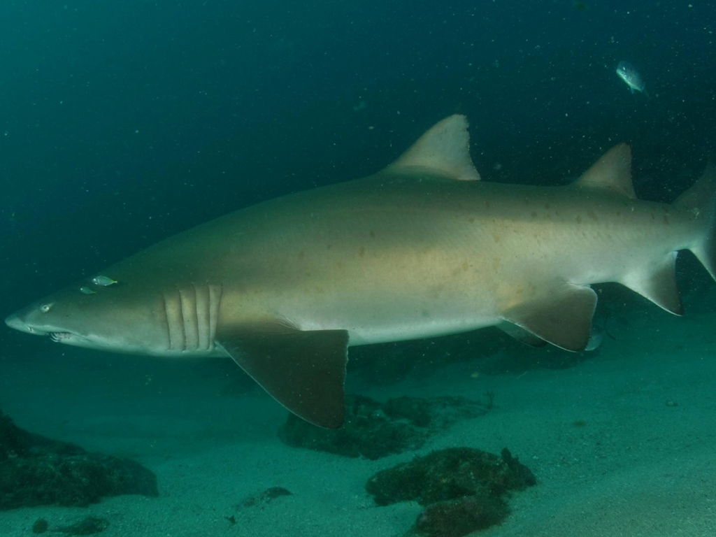 355db9fe-dd55-45df-a184-25a54a3e5b97