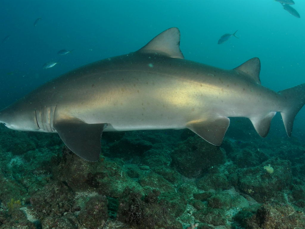 b4cffc64-8523-43f2-a40e-6cabc0f50425