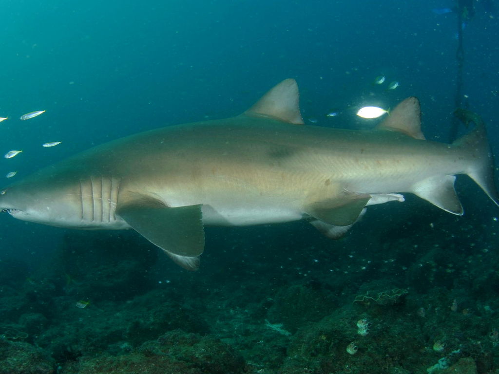 c10cd5c6-9207-4b97-8ab1-460146d39f26