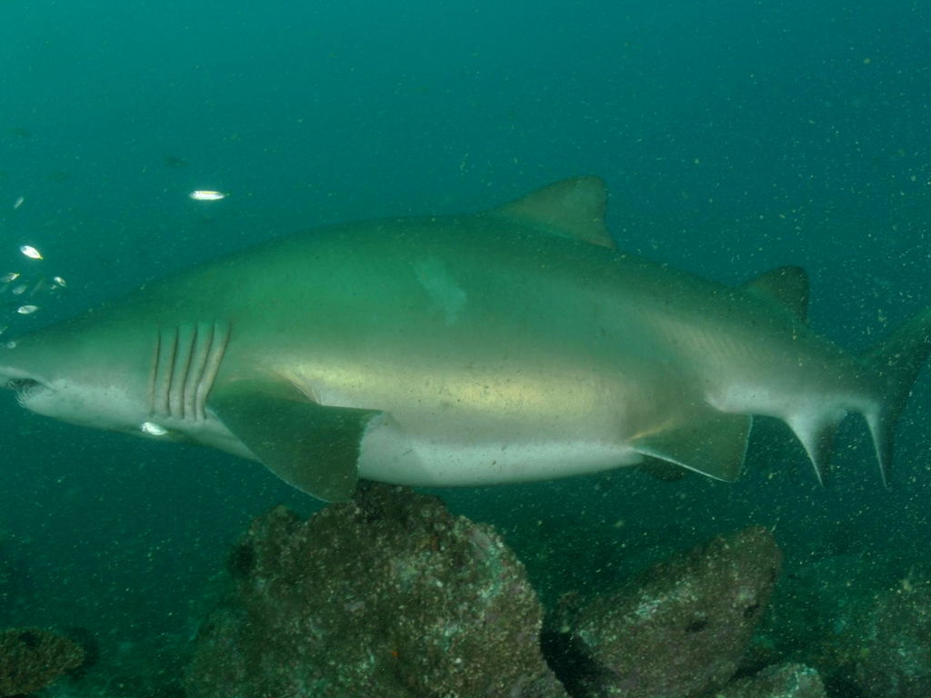 c5cec13d-c629-4429-95fd-ff6941384a10