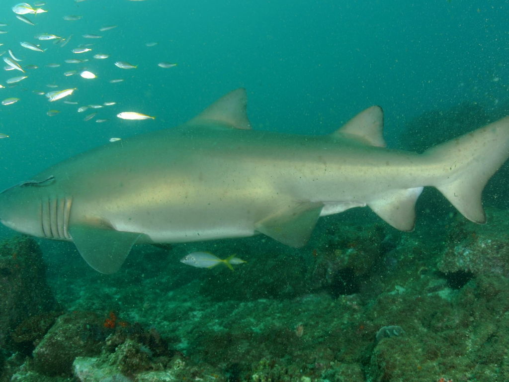 3c0af696-53da-45c0-aa68-8d02024b76fd