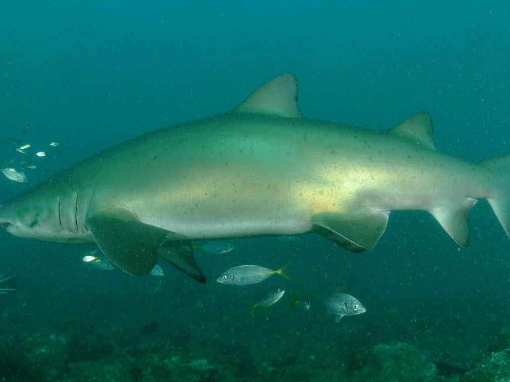 b4cffc64-8523-43f2-a40e-6cabc0f50425