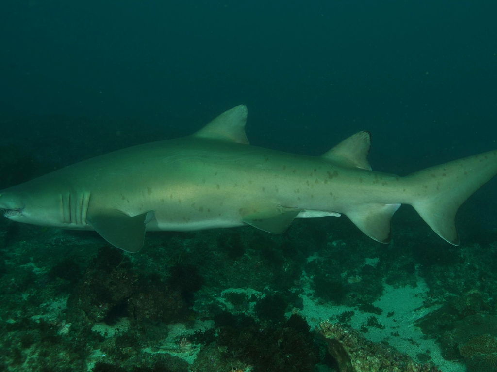 166fe4cf-1be7-48b1-aeb3-ac8b9b0555f2