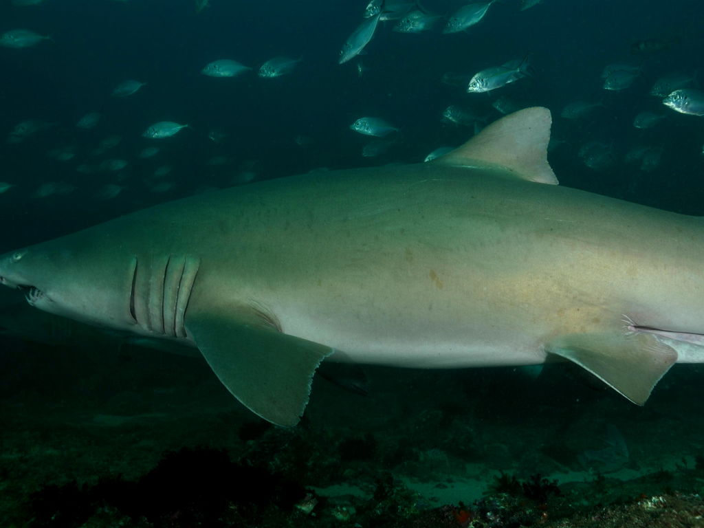 d8297f4f-636b-4b14-93a5-cab59d97443e