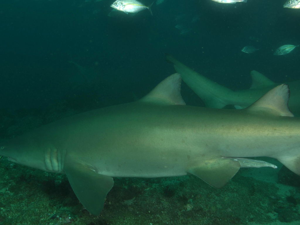 2f310075-9117-4652-ad4e-620313cdc8e5