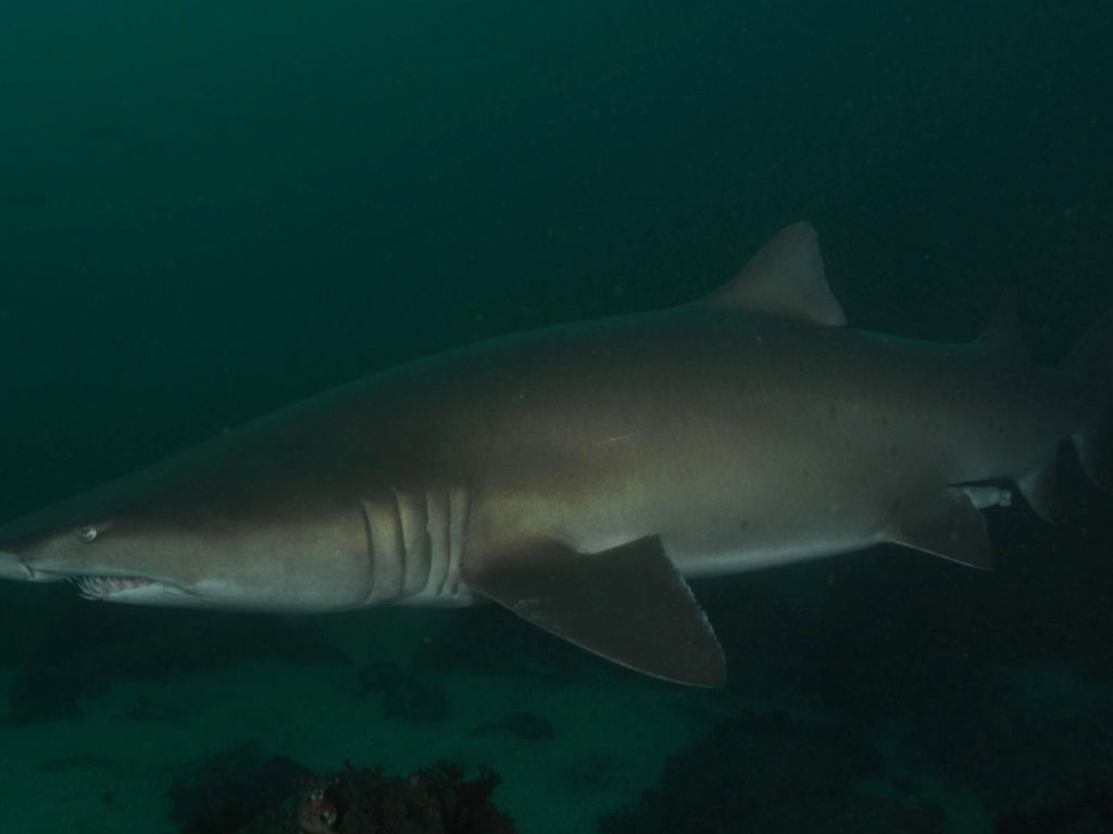 2108cacb-2606-440c-bd12-ded9aa354204