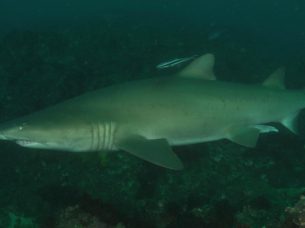 0e93db59-0678-498b-ac8d-457fe0a905bf