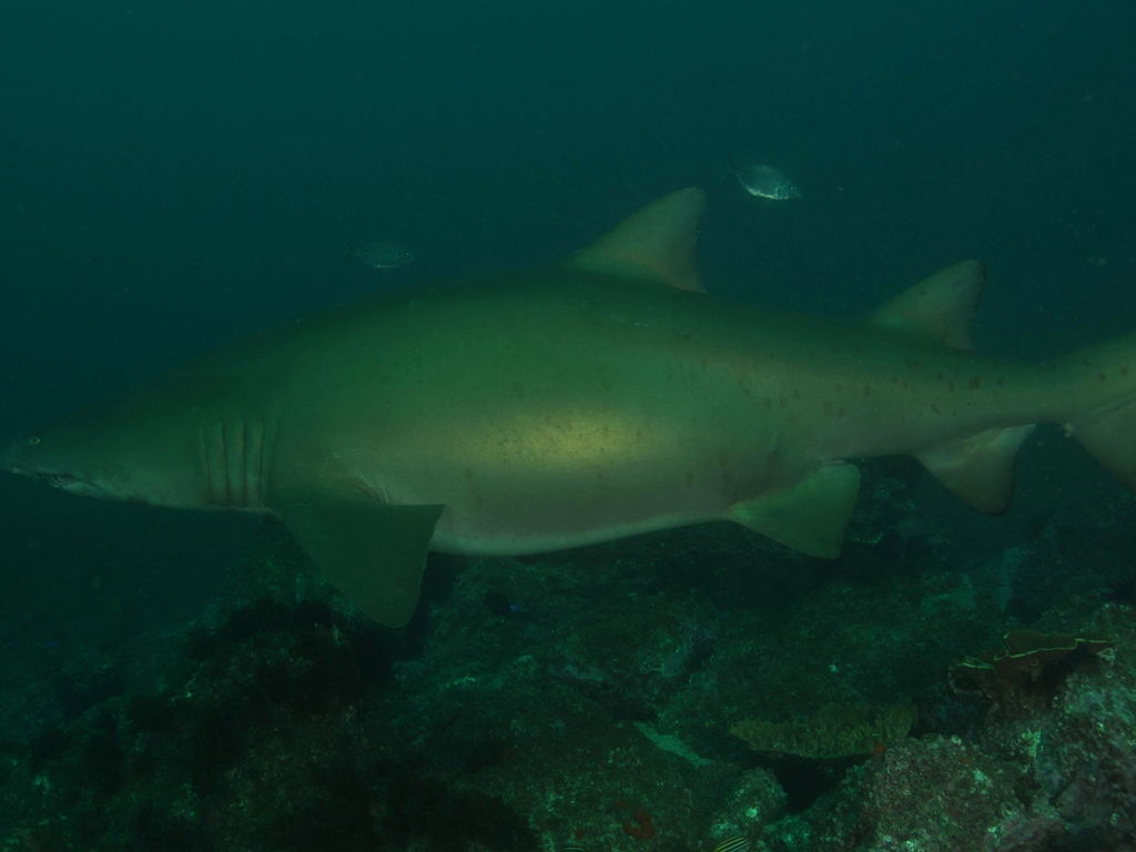 80b05c19-441f-4d1d-a7f3-204b160a0e8b