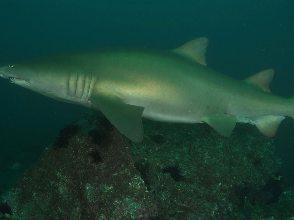 bb22da94-17a0-4bc0-a0a1-1fe8ddf7e491