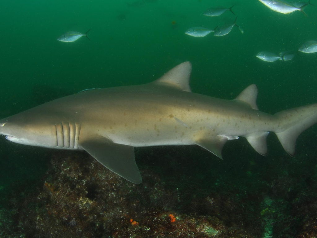 6c3201a7-8376-4018-ac78-7eeccbe094ad