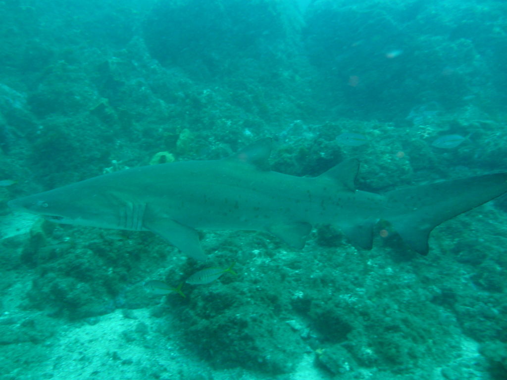 8d6f4cd5-fa46-4a1e-9a66-1e531867b3bf