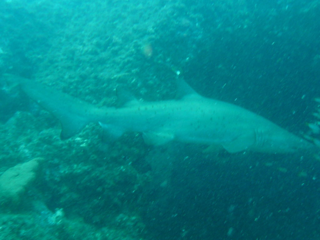 8e4db807-4c25-4a20-b1c2-f05954184c17