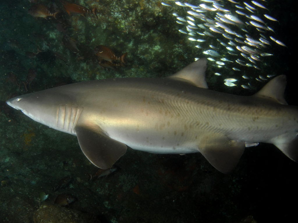 581be6ba-f9d0-40c4-898f-dbc42dd7d843