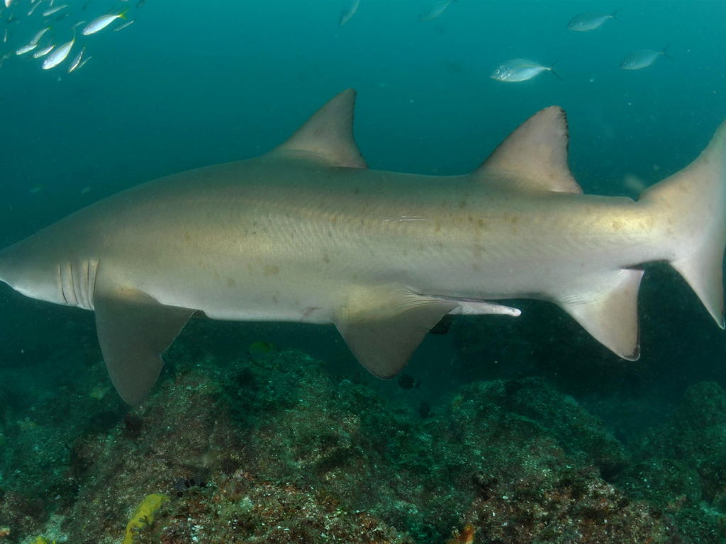 c9c5d6a2-3e2e-4adf-8346-3204475407b0