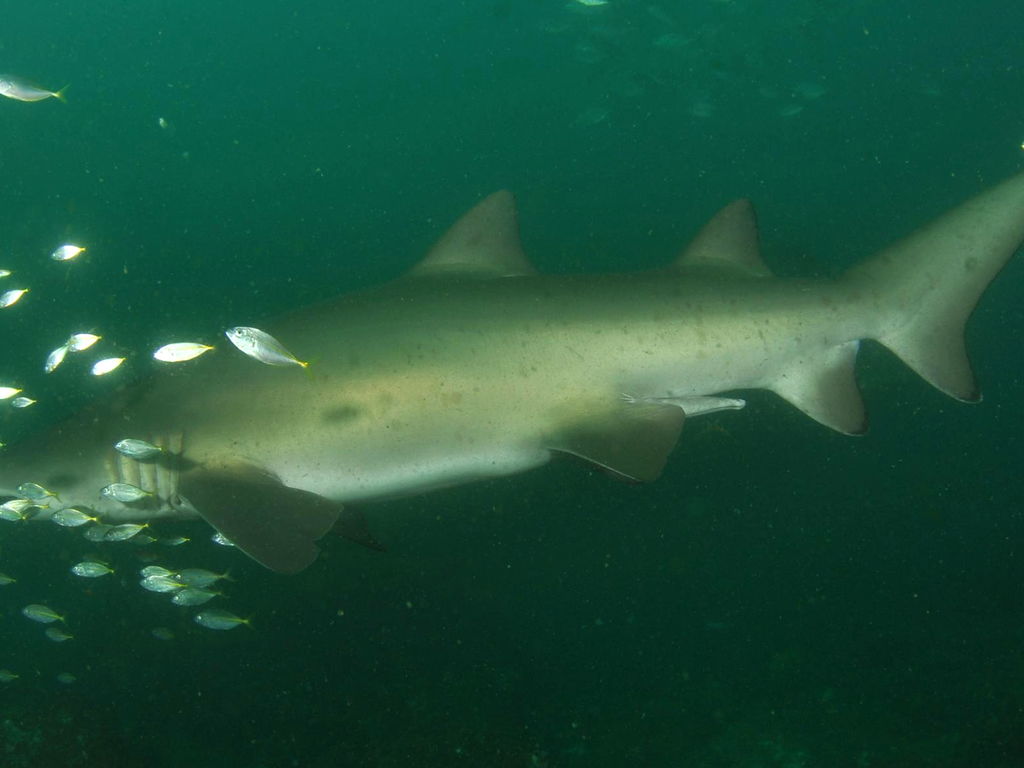 c9c5d6a2-3e2e-4adf-8346-3204475407b0