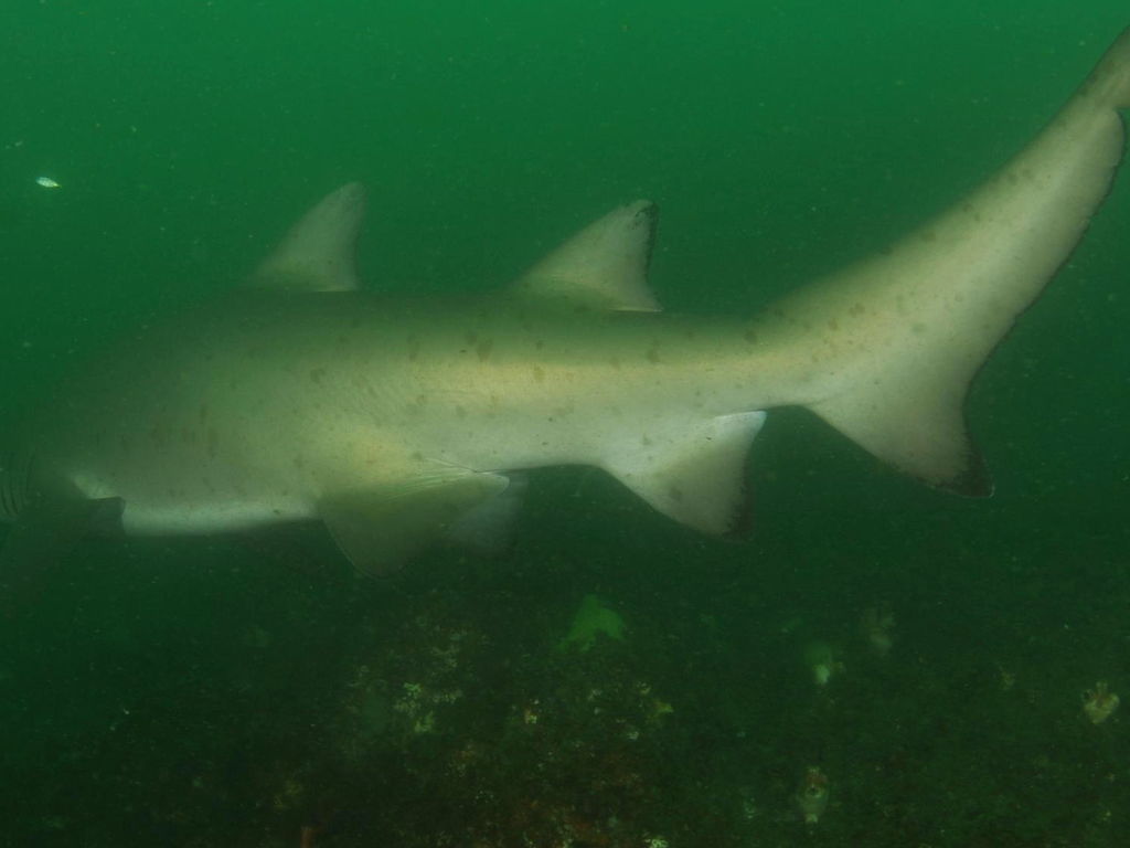 de8359c2-426e-409e-abc2-680ef2d6db96