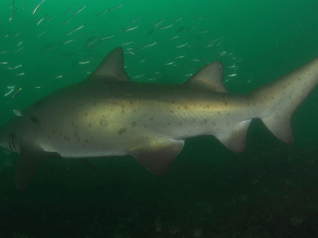 740f8948-196e-4c29-9f1c-ca940ac6950c