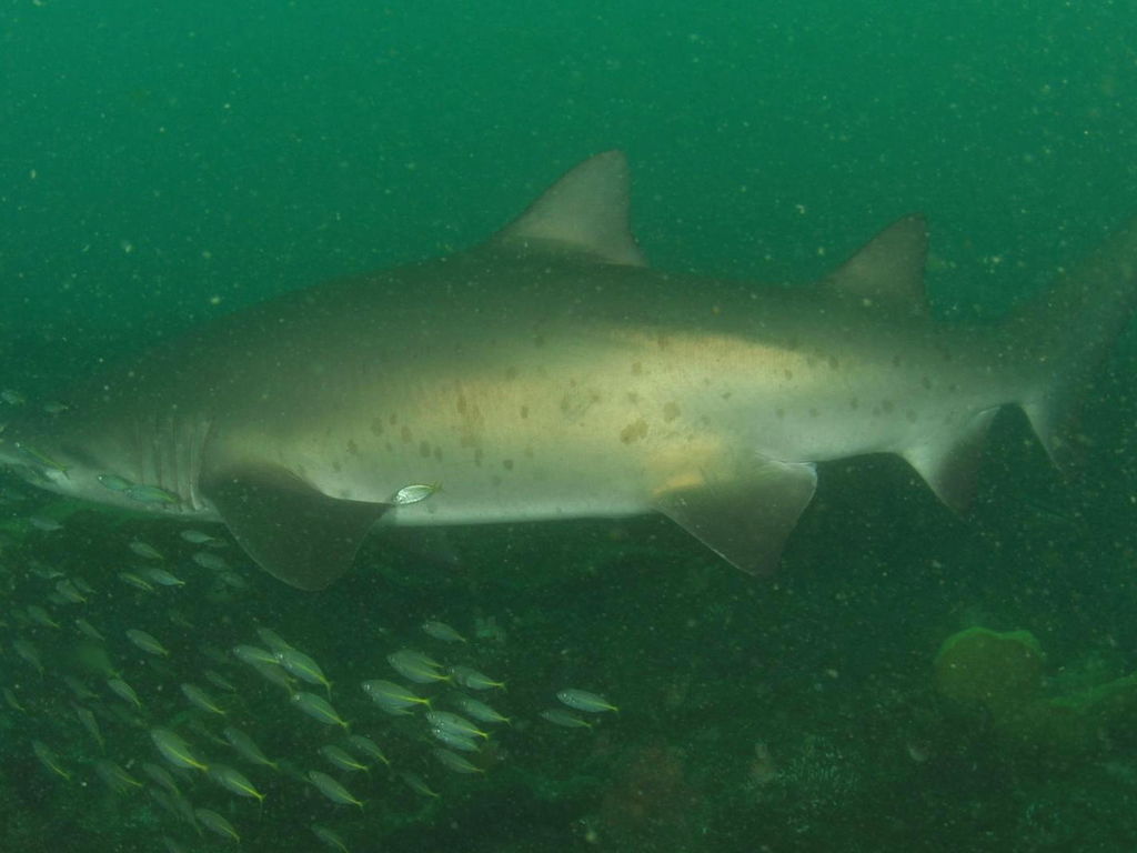 740f8948-196e-4c29-9f1c-ca940ac6950c