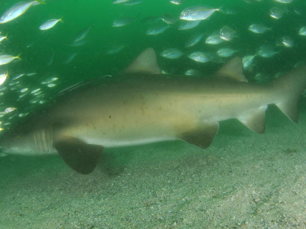 5bc51f92-cb4e-42d6-a83c-615944435b70