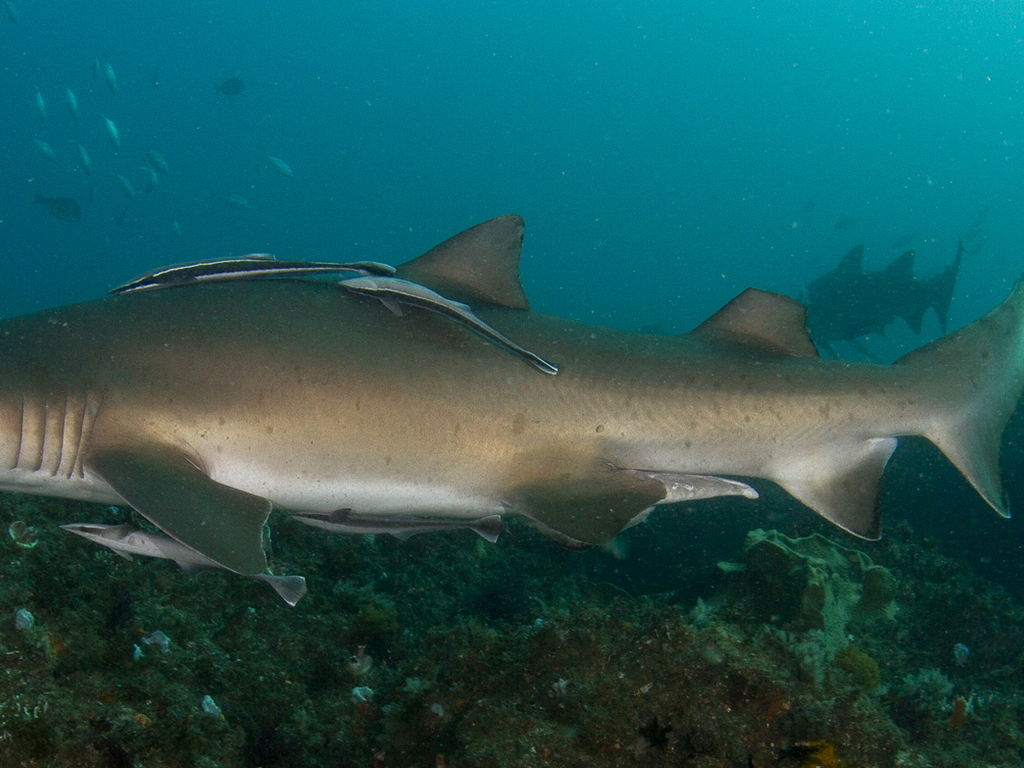 235d4a0c-e928-4b3d-b07b-3e46dc58841b