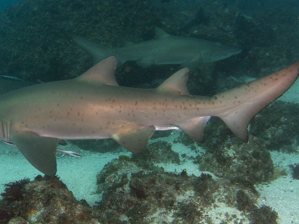 d40a2f61-69ad-43d9-a822-aeb20a2b95d5